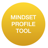 Entrepreneurial mindset profile tool