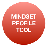 Entrepreneurial mindset profile tool